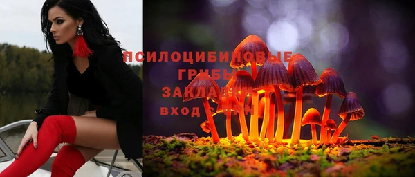 ГАЛЛЮЦИНОГЕННЫЕ ГРИБЫ Волоколамск