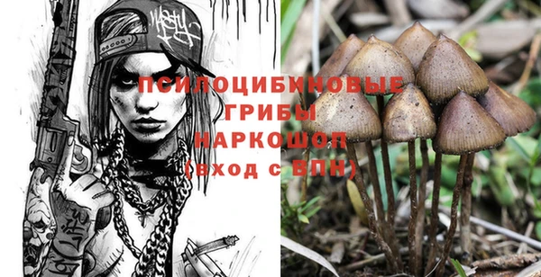mdma Вяземский