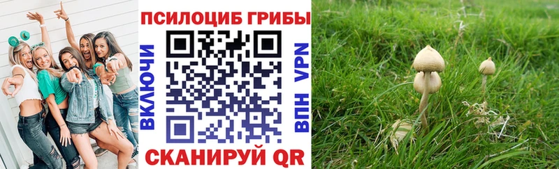 Псилоцибиновые грибы Psilocybine cubensis  Кызыл 